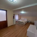 Villa Ribarica *