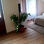 Villa Ribarica بيت ضيافة ريباريكا