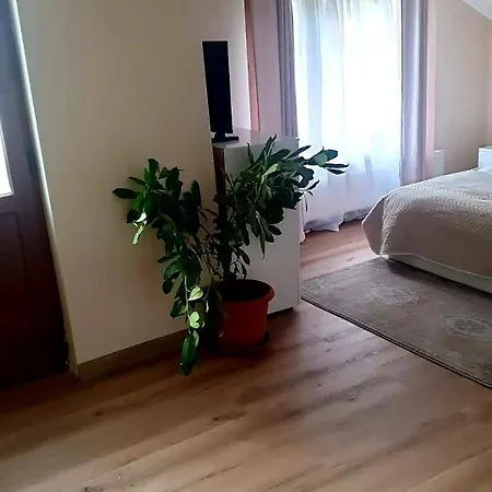Villa Ribarica Gæstehus Ribarica