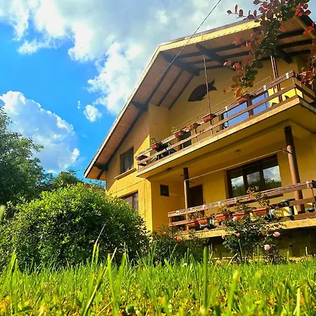 Villa Ribarica *