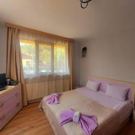 Villa Ribarica Ribaritsa