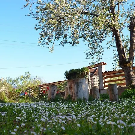 Villa Ribarica ريباريكا