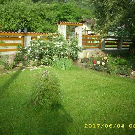 Villa Ribarica