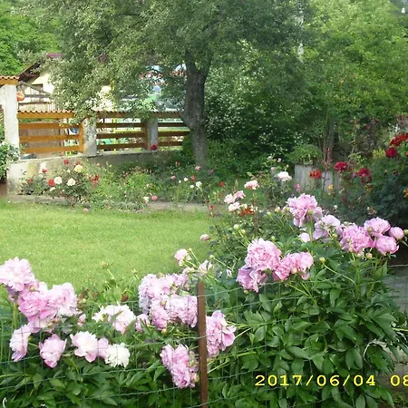 Гостевой дом Villa Ribarica *