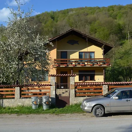 Villa Ribarica *